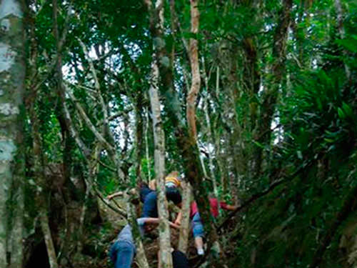 Caminhada Ecológica e Banho de Rio