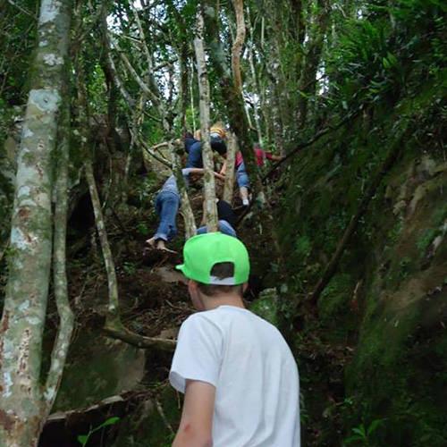 Caminhada Ecológica